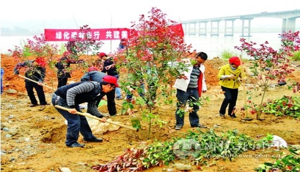 竹岐乡青年志愿者开展义务植树活动