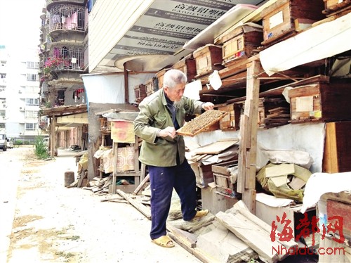 独身依伯养蜜蜂20年为生　成邻居“甜蜜的烦恼”