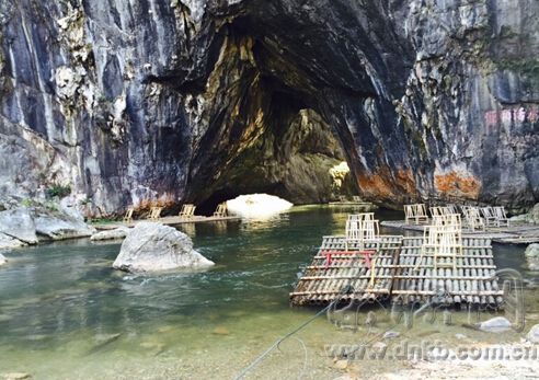 白鹭飞进龙岩汀江国家湿地公园　解密背后的故事