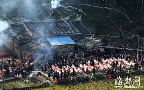 三明大田举办“赛猪大会”　“猪王”肉一肉难求