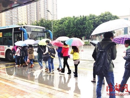 公交站台积满雨水　市民和学生仍有序上车获赞　