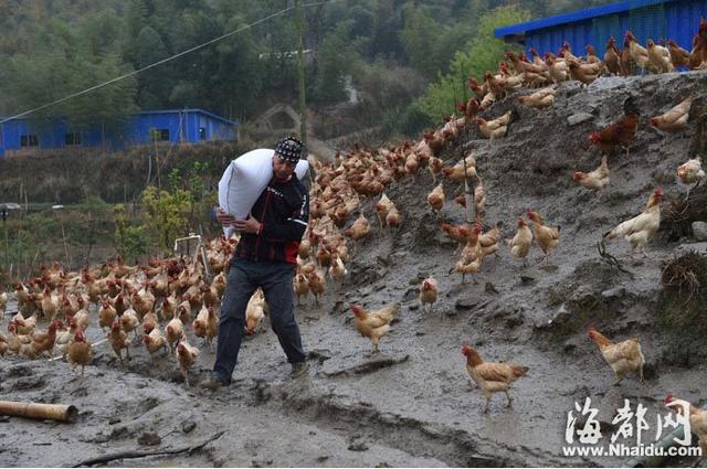 东北汉子骑行半个中国　爱上福州好山水留下养鸡
