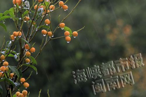 立夏到夏天还会远吗？青草热卖蔬果出街民俗斗蛋