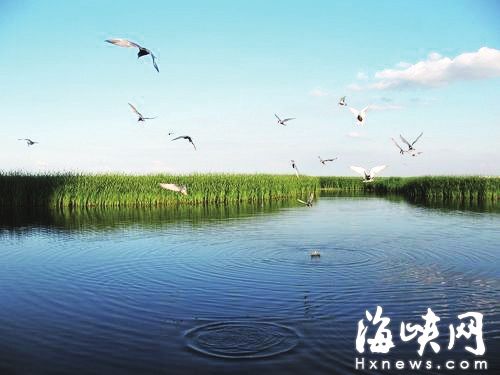 福州将新增多个湿地公园　闽江河口湿地升国家级