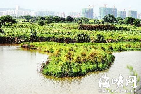 福州将新增多个湿地公园　闽江河口湿地升国家级