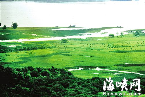 福州将新增多个湿地公园　闽江河口湿地升国家级