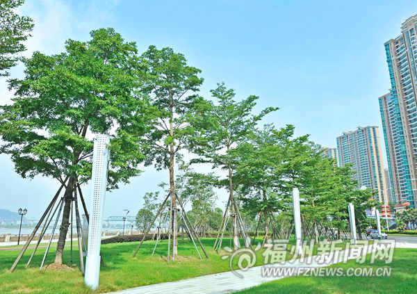 福州近两年新增森林面积2775亩　向省级森林城市冲刺