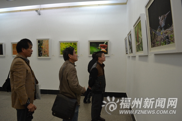 第3届海峡两岸生态摄影作品展开幕 百幅精品展出