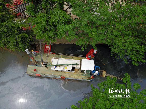 金山水系治理有新招　采用“水下森林”修复法