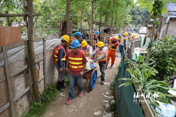 金山水系治理有新招　采用“水下森林”修复法