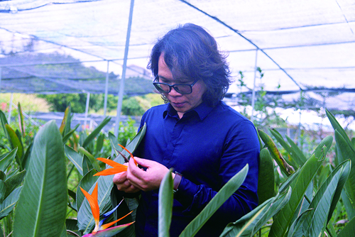 闽侯籍“花匠”陈荣顺：让鲜花在家乡沃土盛开