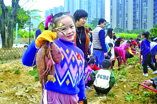 “薯”你最棒  拔得头筹