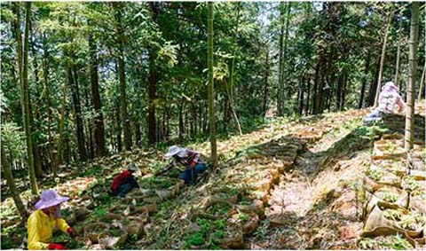 守住“绿水青山” 筑起“金山银山”