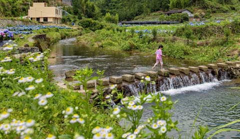 省摄影家协会采风团走进“绣山花谷”
