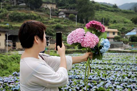 省摄影家协会采风团走进“绣山花谷”