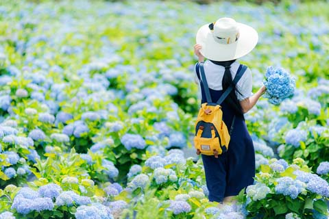 省摄影家协会采风团走进“绣山花谷”