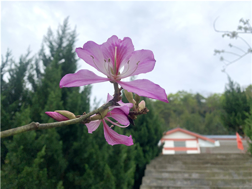 主播带你红色游丨漫游龙山，共忆峥嵘岁月