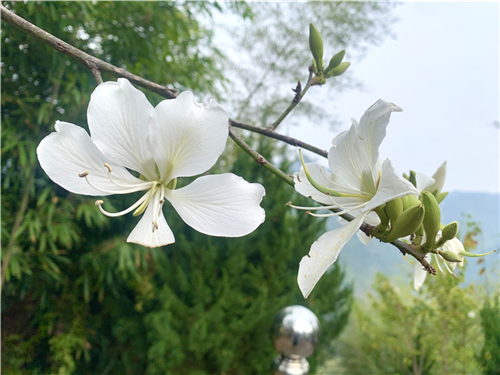 主播带你红色游丨漫游龙山，共忆峥嵘岁月