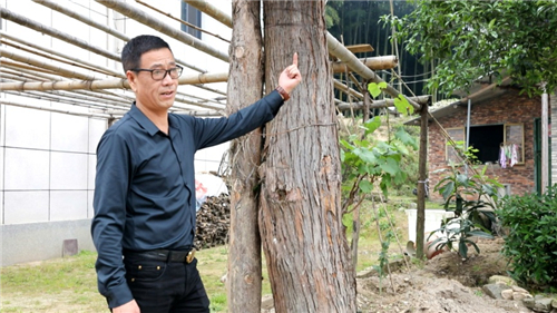 主播带你红色游丨走进大湖坂头郑其土祖厝，追忆那段烽火岁月