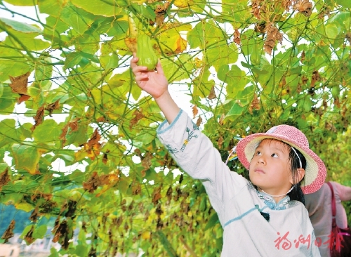 首邑福瓜香满城　避暑胜地赞不停