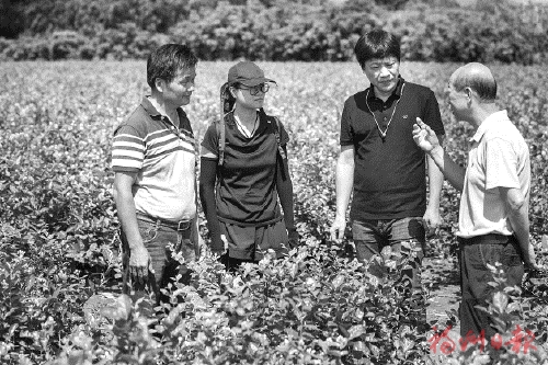 闽侯苏洋茉莉花基地的“春夏秋冬”