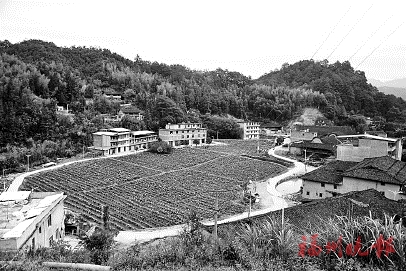 闽侯良地村变身“网红花谷”