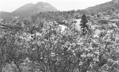 春色如许，独爱乡村风景