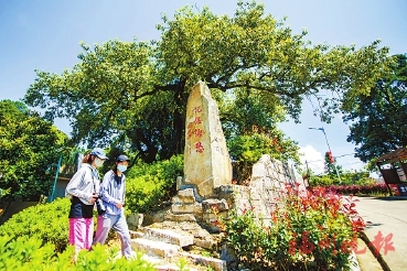 名村配名胜“旅游饭”配佛手瓜