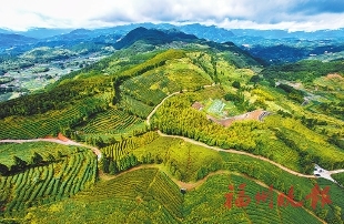 闽侯雪峰村：　人间清凉地　魅力生态村