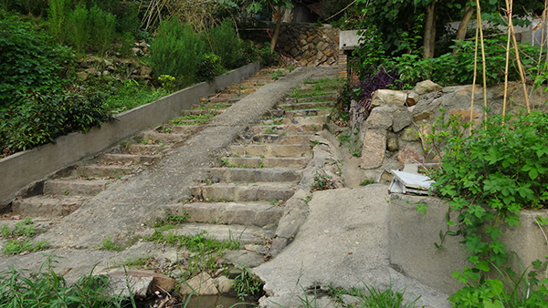 过尽千帆“小香港”  繁华褪去启“新程”