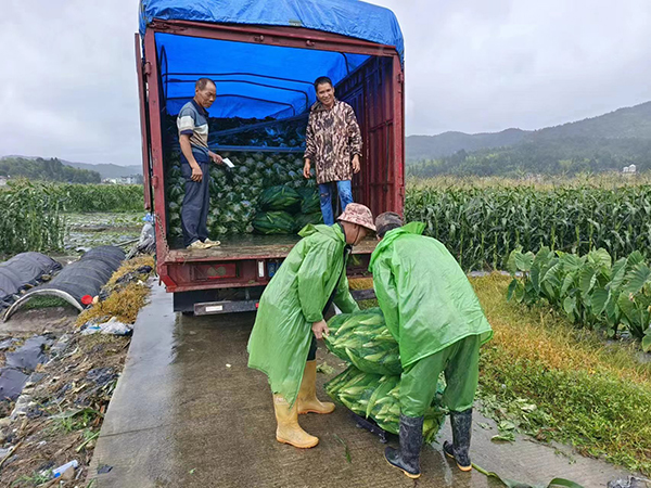 众志成城  迎风而上
