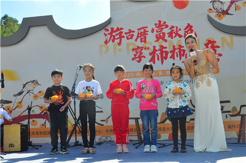 游古厝 赏秋色 享“柿柿”如意