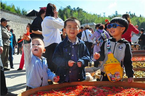 游古厝 赏秋色 享“柿柿”如意