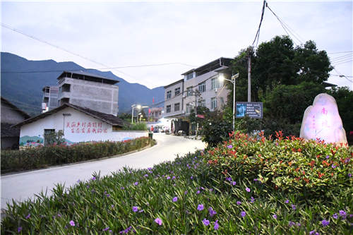 深入南坑村 破解乡村振兴秘籍