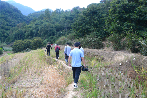 深入南坑村 破解乡村振兴秘籍