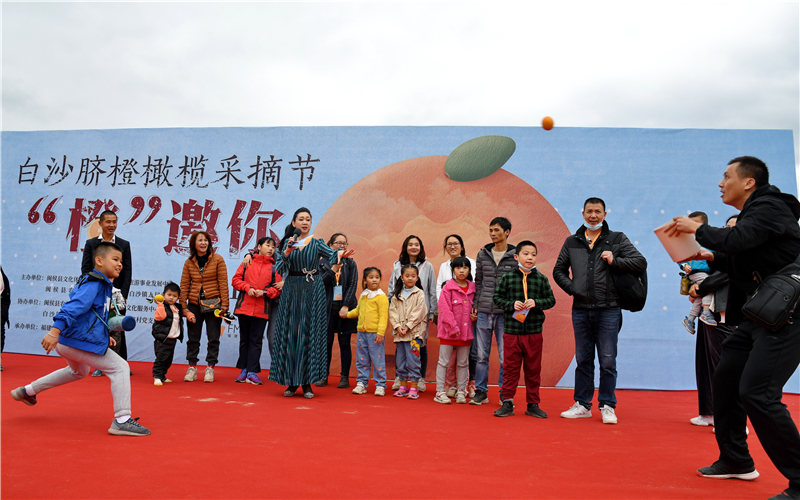 鲜果迎丰收 采摘正当时