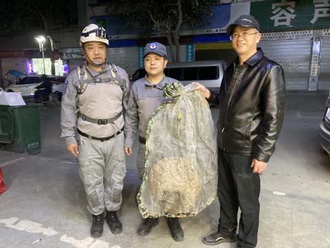 福建省星光救援队为居民摘除马蜂窝