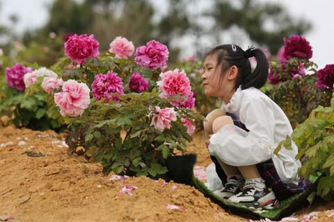 祖国山河美 山歌宣党史