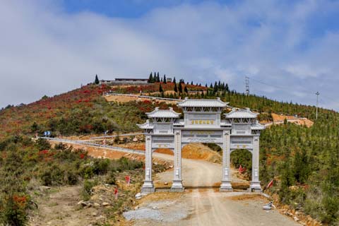 映山杜鹃春来早 乡村振兴画卷新