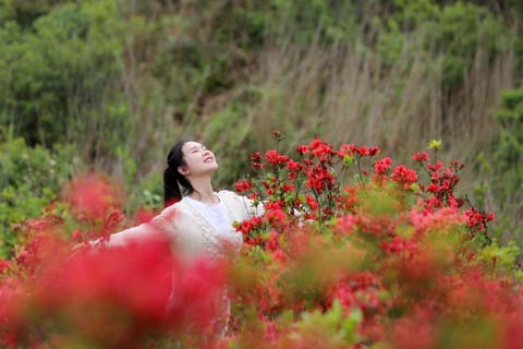 映山杜鹃春来早 乡村振兴画卷新
