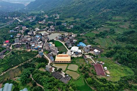元格村百年枫树红了！一起去看“醉”美“枫”景