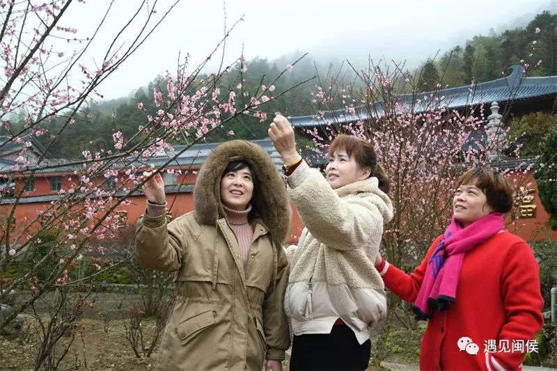 “梅”不胜收！大湖雪峰寺成片“梅”景，等你来赏