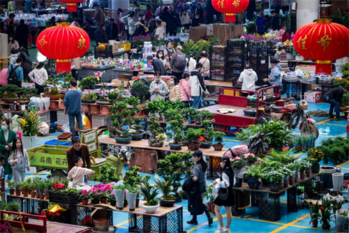 唱响中国经济光明论丨春节后多地文旅市场持续升温