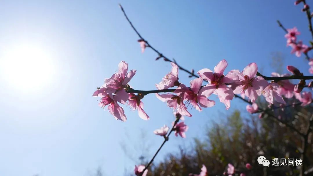 看闽侯丨想看“花花世界”？安排！