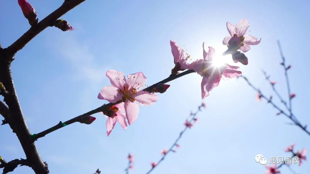 看闽侯丨想看“花花世界”？安排！