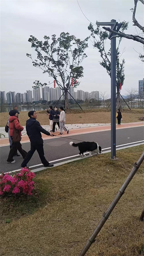 这些不文明旅游行为让公园“花容失色”