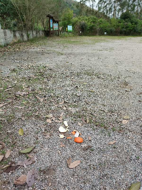 春节假期，别让这些不文明行为“煞风景”