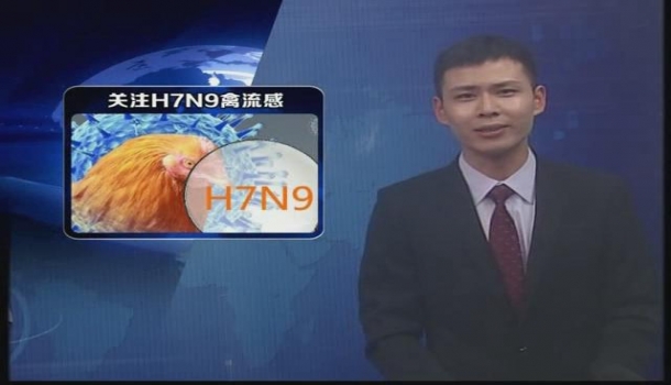 热点观察—关注H7N9