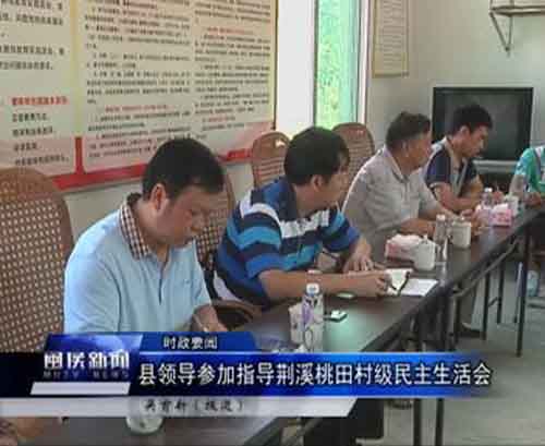 县领导参加指导荆溪桃田村级民主生活会