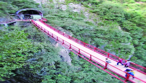 旗山国家森林公园索桥整修完工